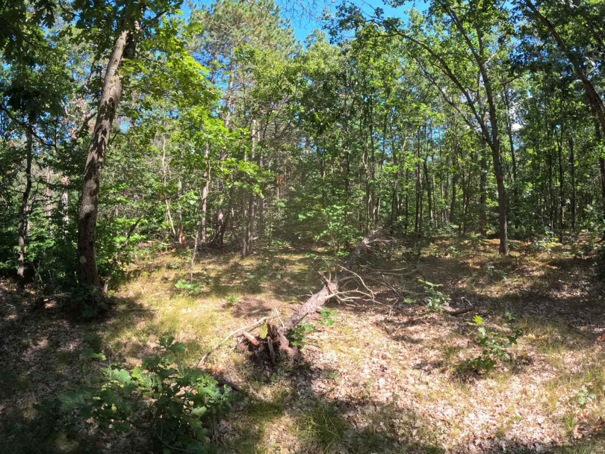 FR 9185 photo 2