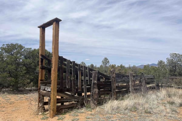 Willow Creek/Shrine Mine Road