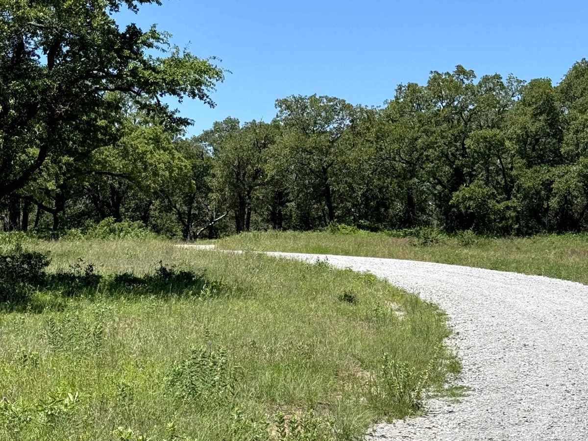 Mesa - 900 photo 5