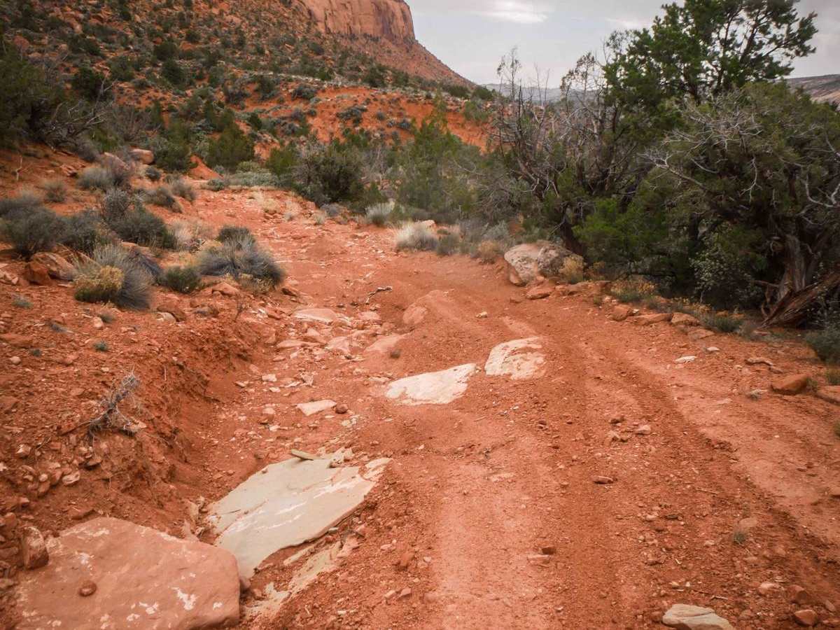Comb Wash Cave Road photo 6