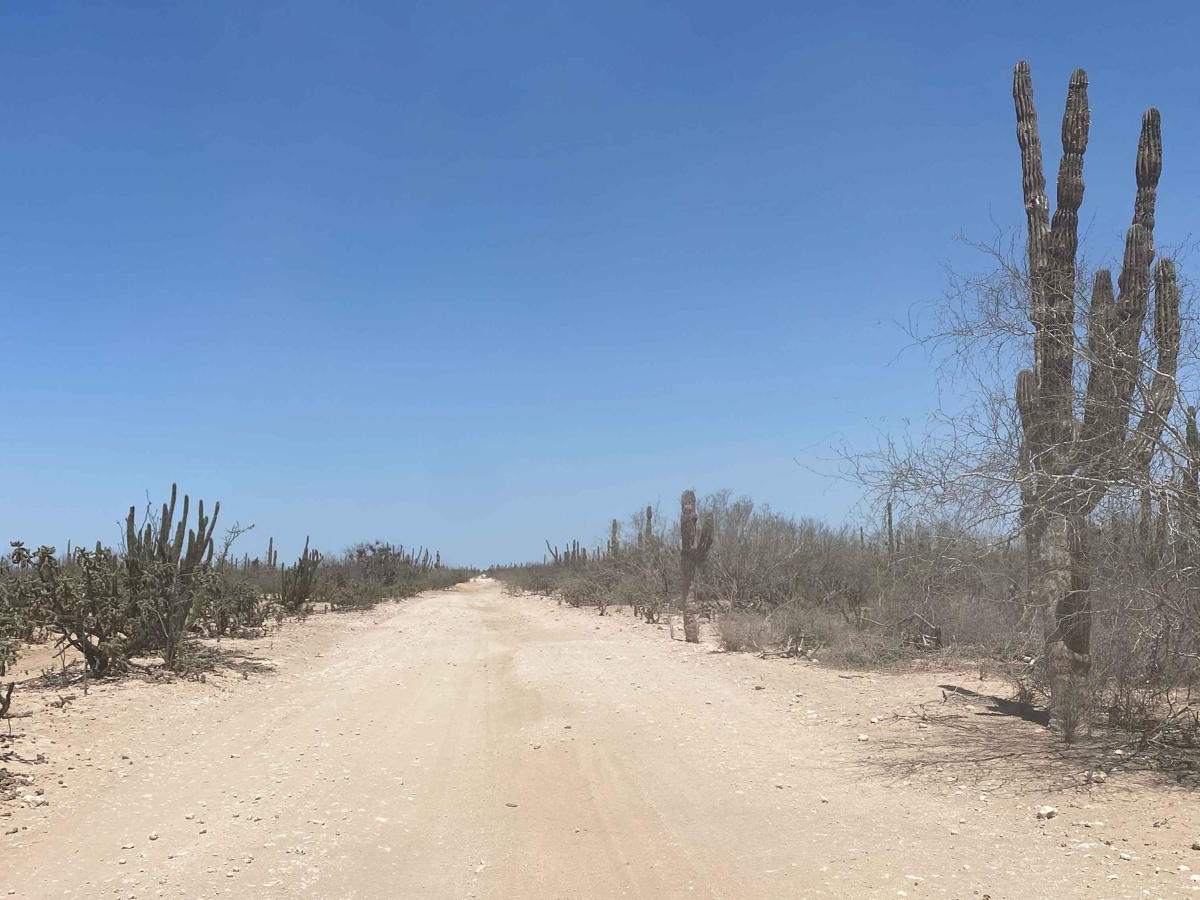 Lomita Amarilla North photo 3