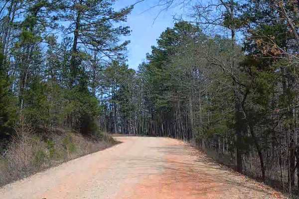 Erbie Campground Road