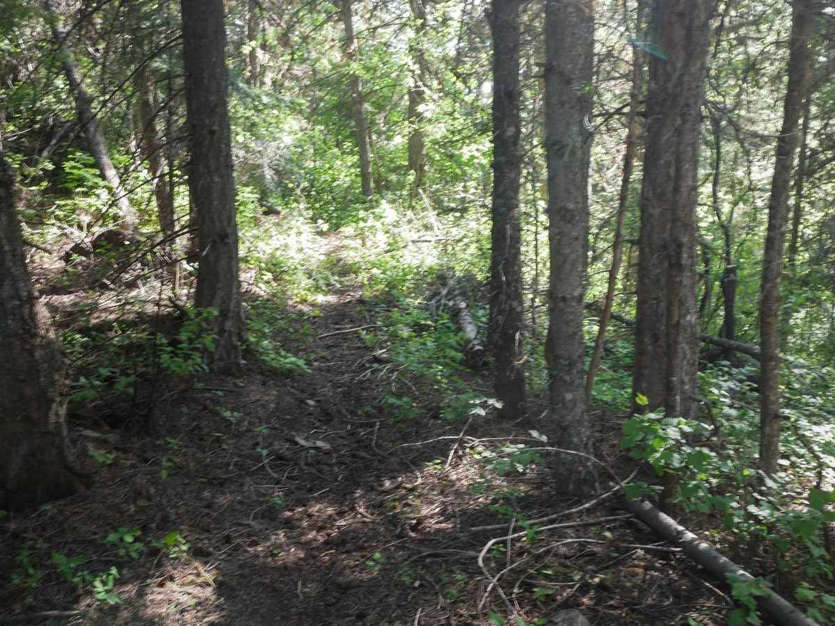 Bighorn Point trail photo