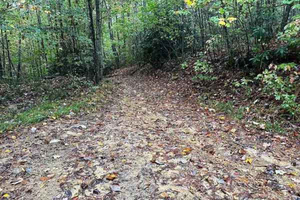 190 Single Track
