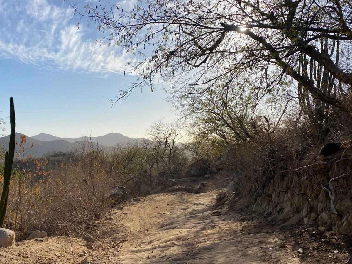 El Paso trail photo