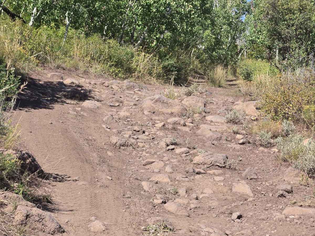 Sketchy Betsy trail photo