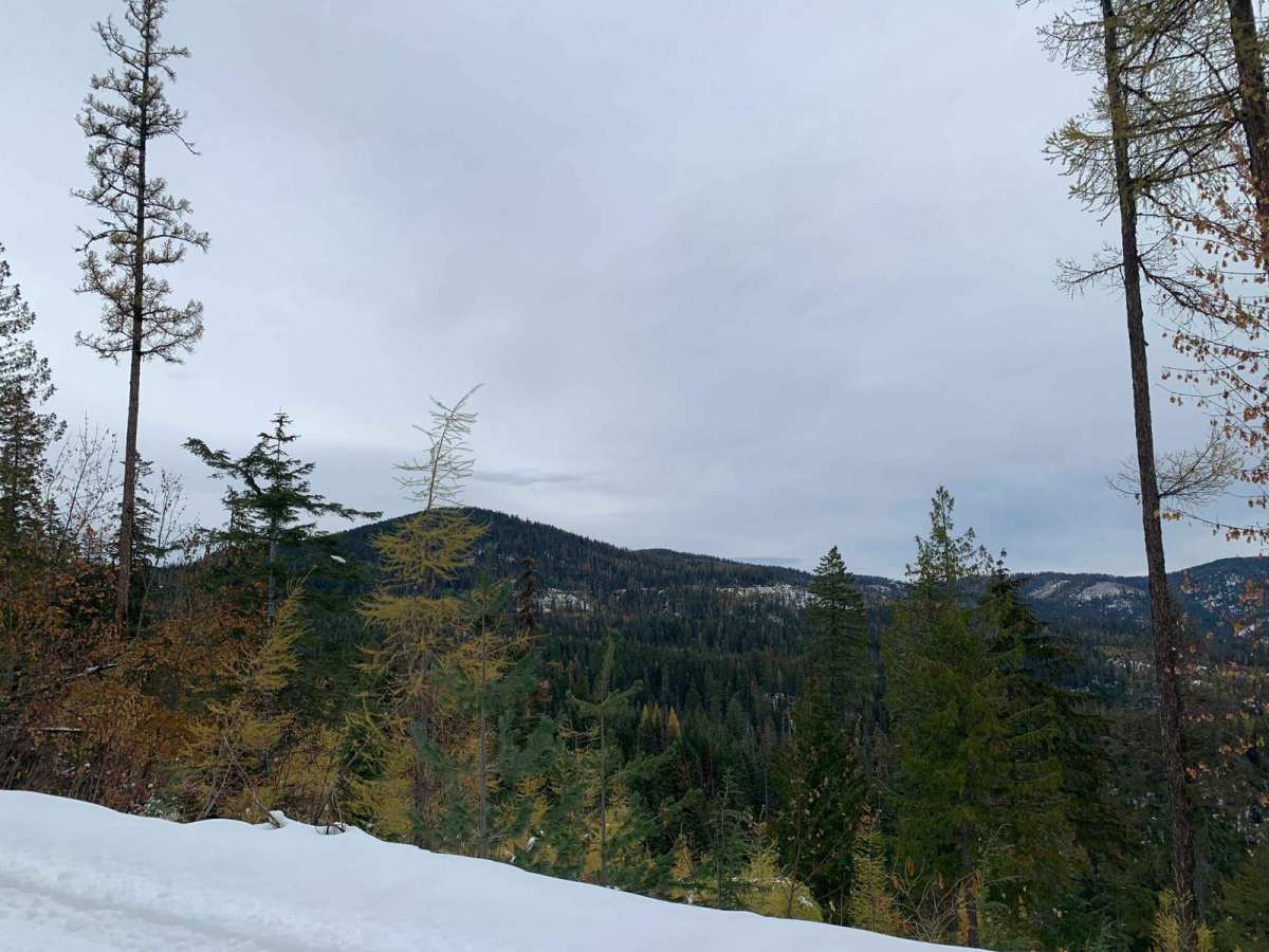 Blue Creek (499) photo 5