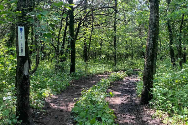 Path Finder