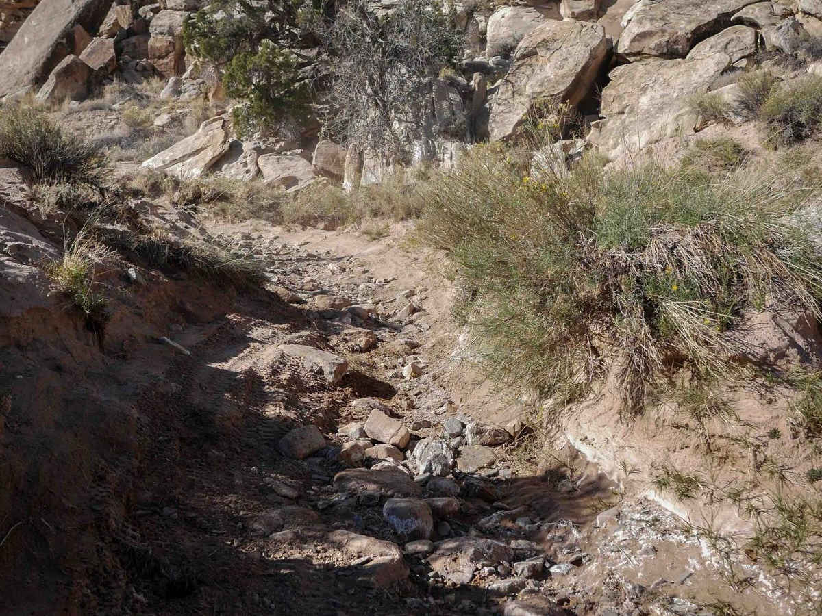 Summerville ATV photo 2