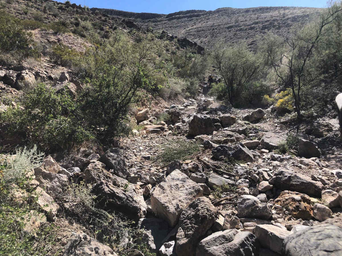Ol'Skool trail photo