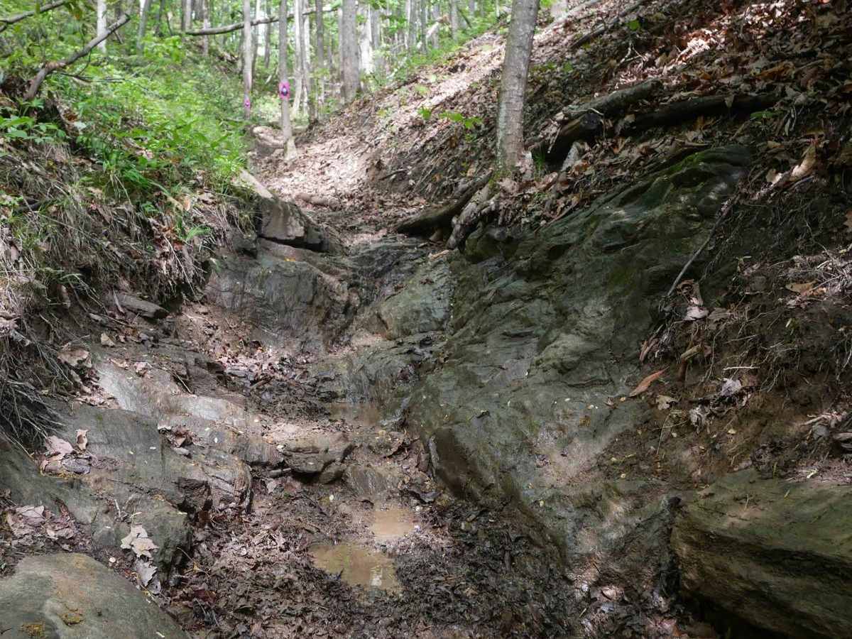 1C Shortcut trail photo