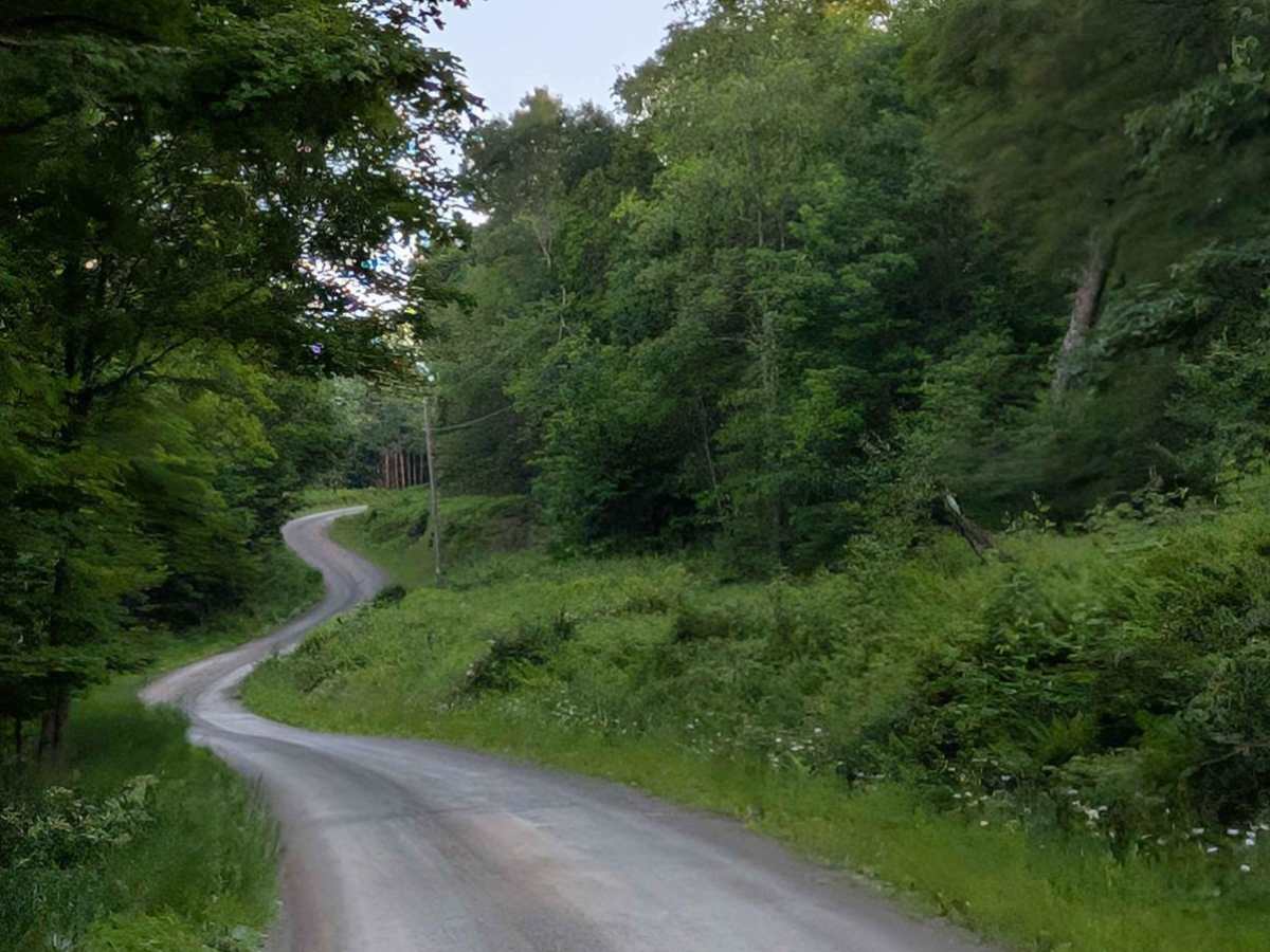Marshall Road photo 5