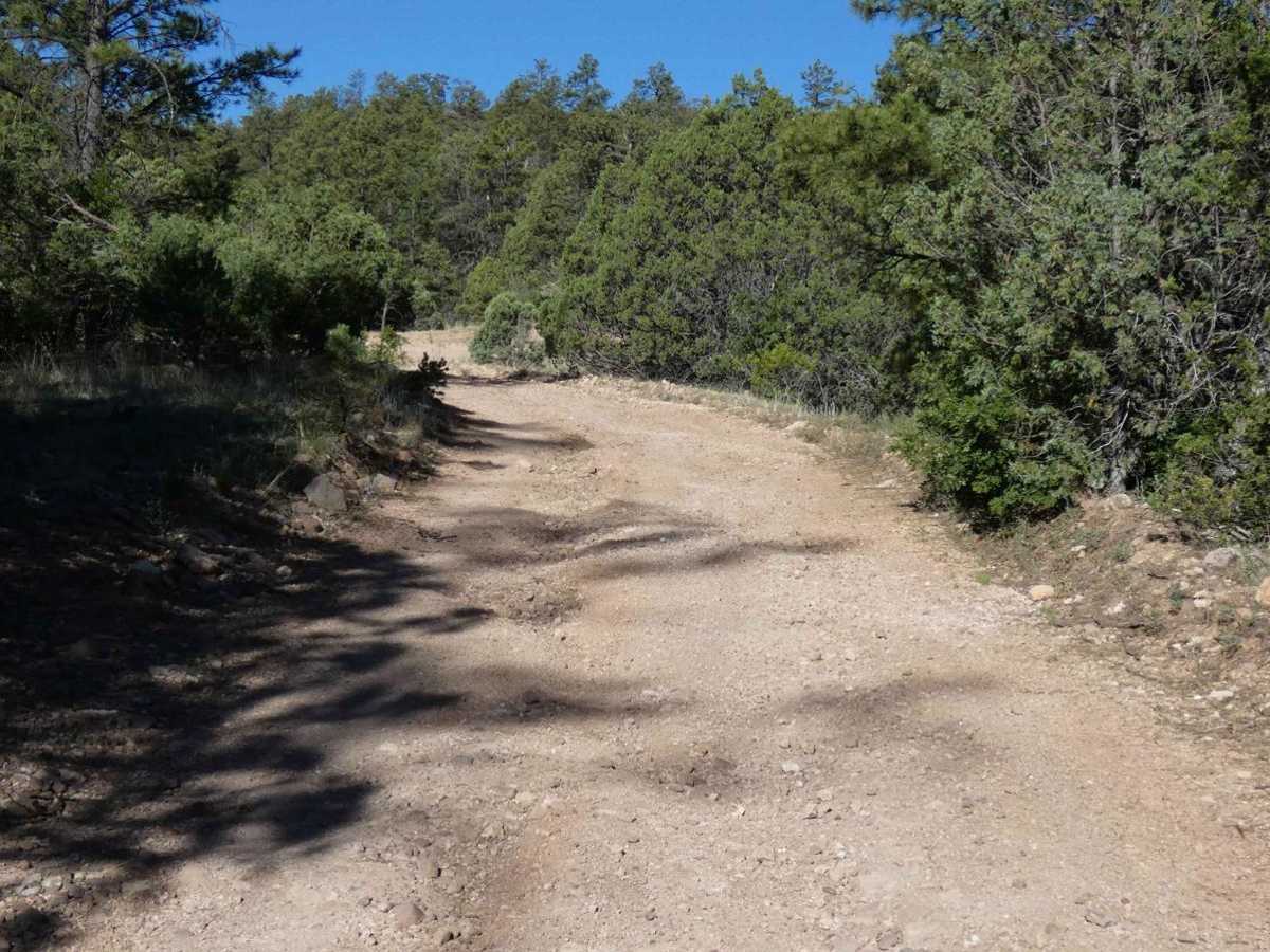Crosby Canyon FS66 photo 6