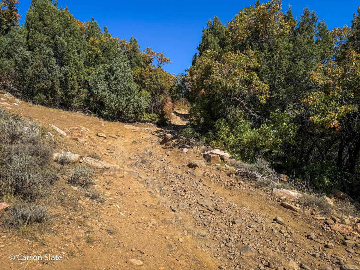Public Grove ATV Trail photo 3