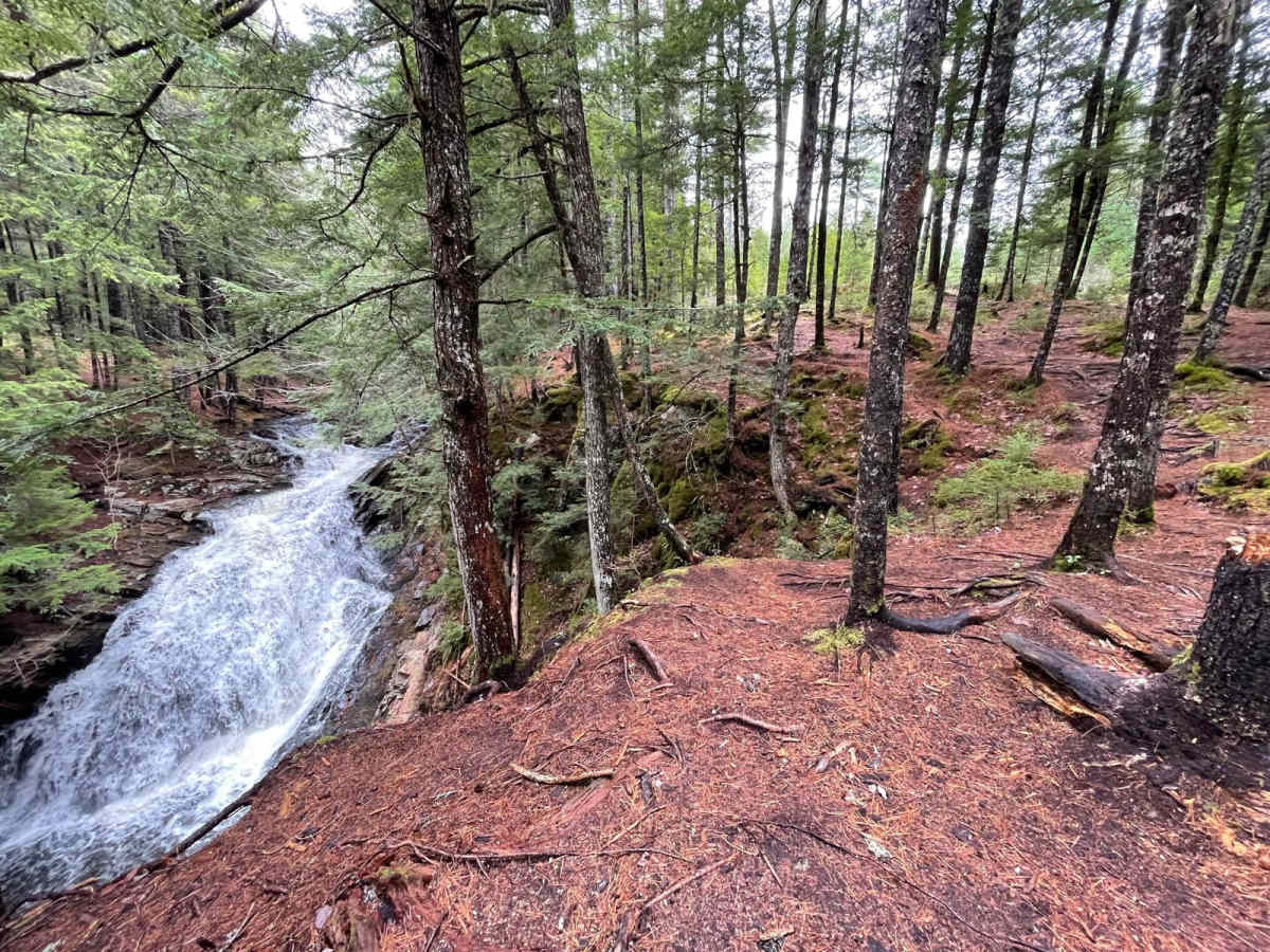 King Lake Trail photo 6