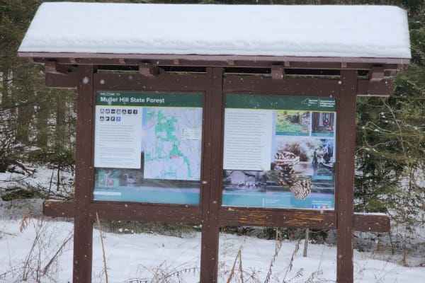 Buck's Brook Track