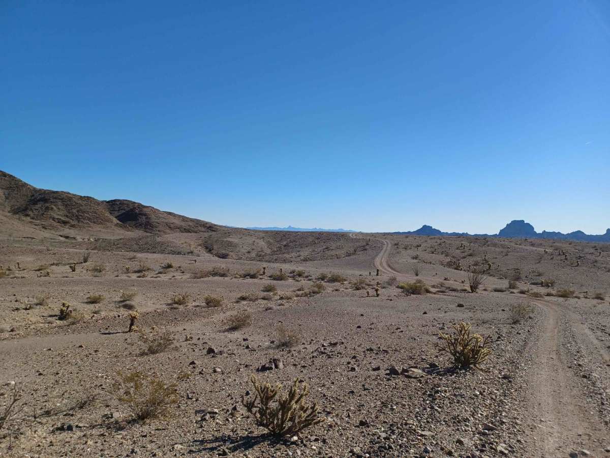 Remote photo 6
