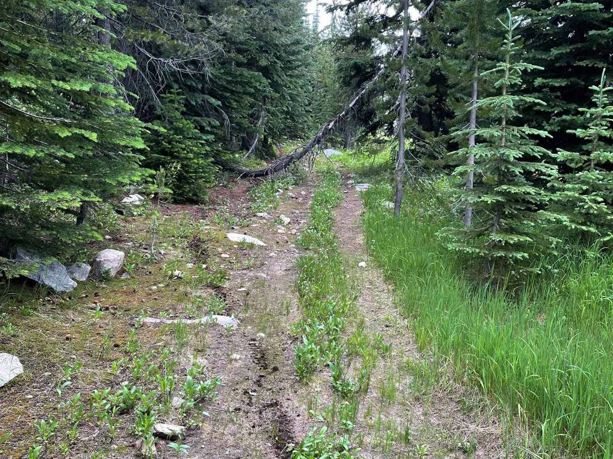 Big Hazard ATV photo 5