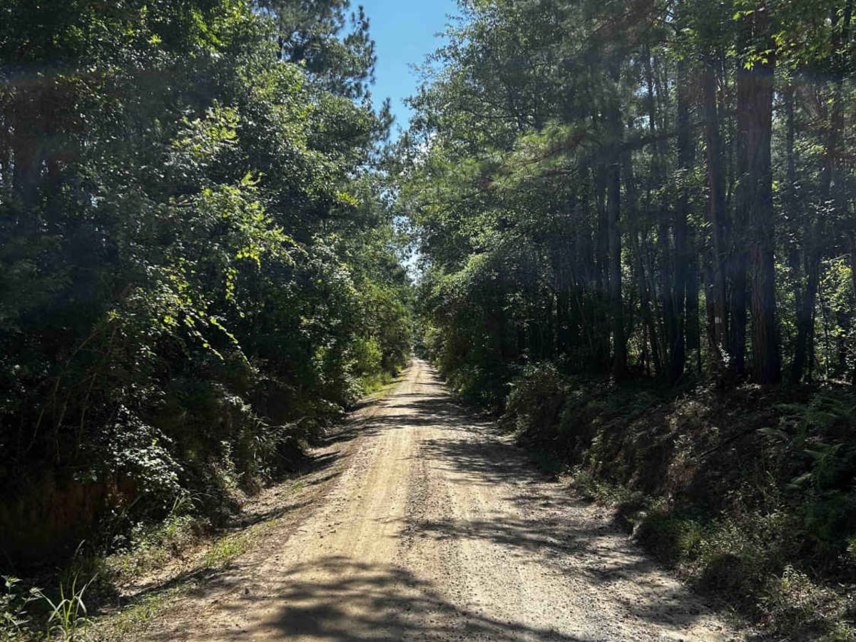 County Line Road photo 5