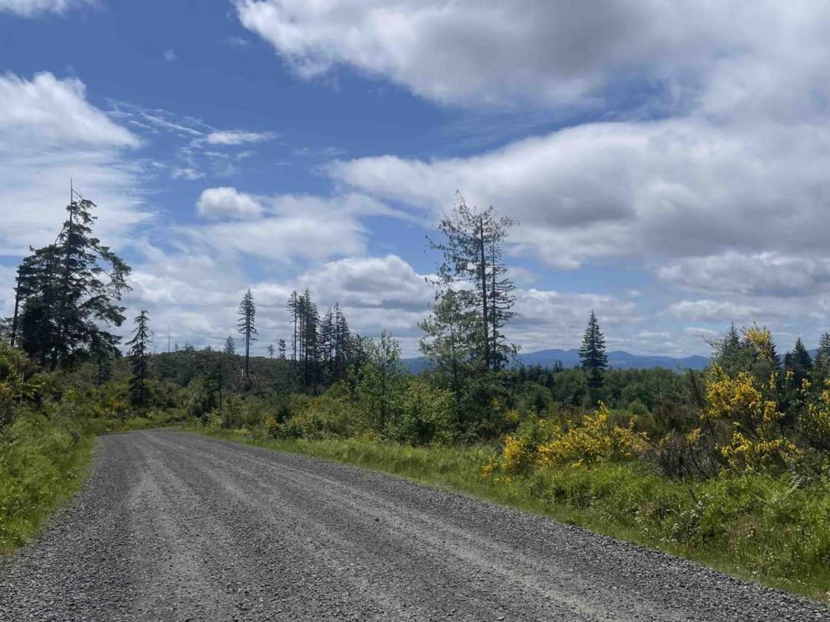 Northwest Bacona Road photo 4