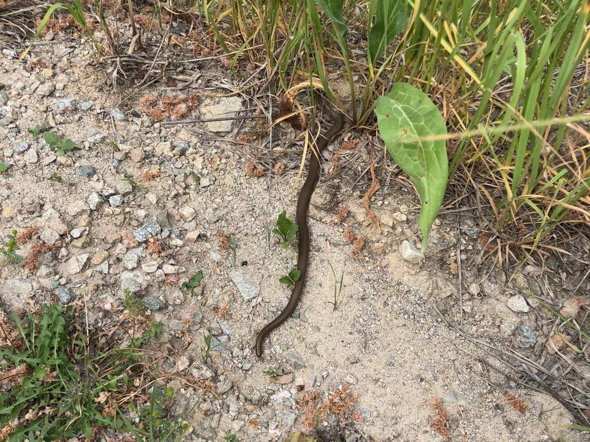Mink Creek to Highway 43 photo 3