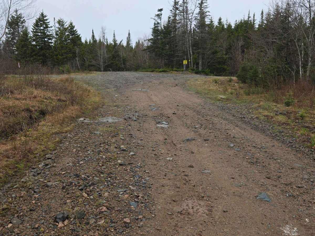 Totten Meadow Trail photo 6