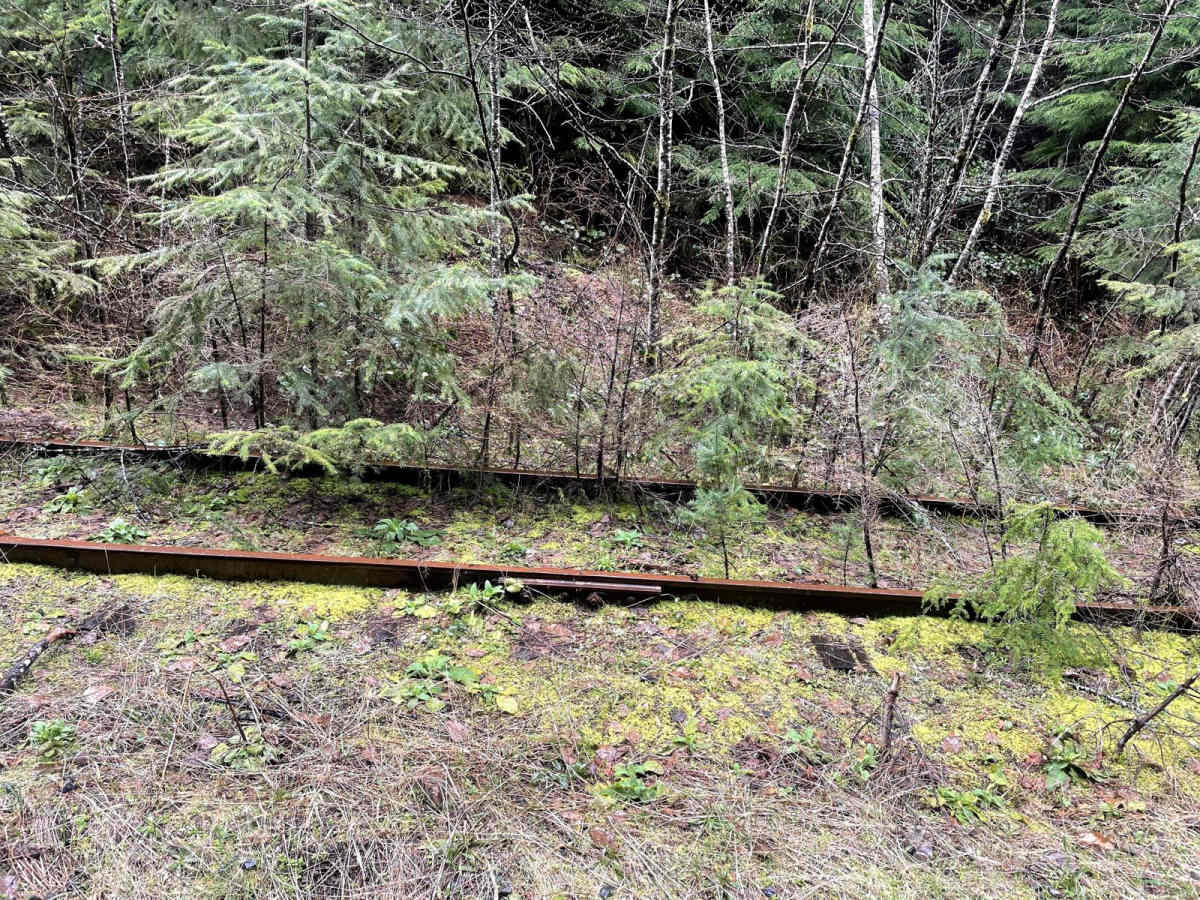 Cochran Train Trestle photo 3