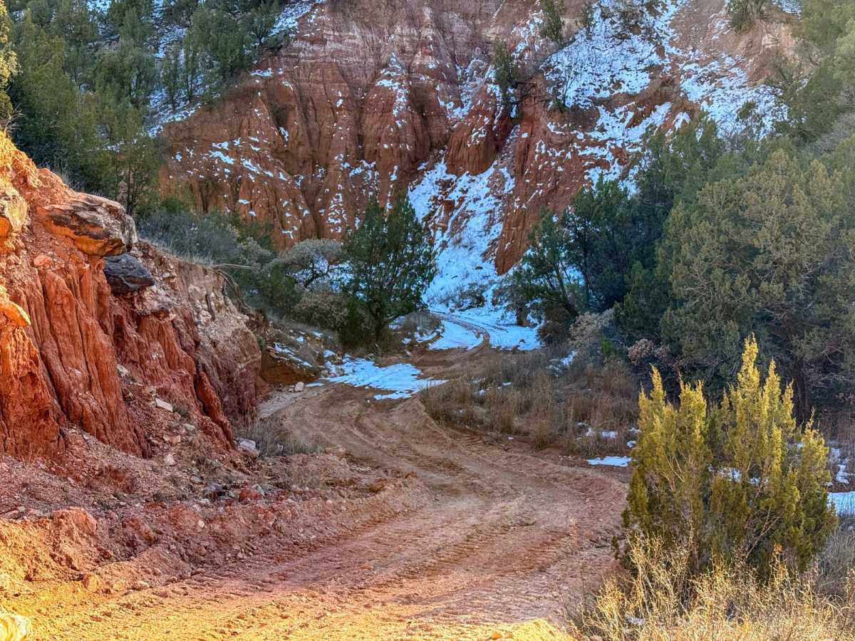 The Chute photo 6