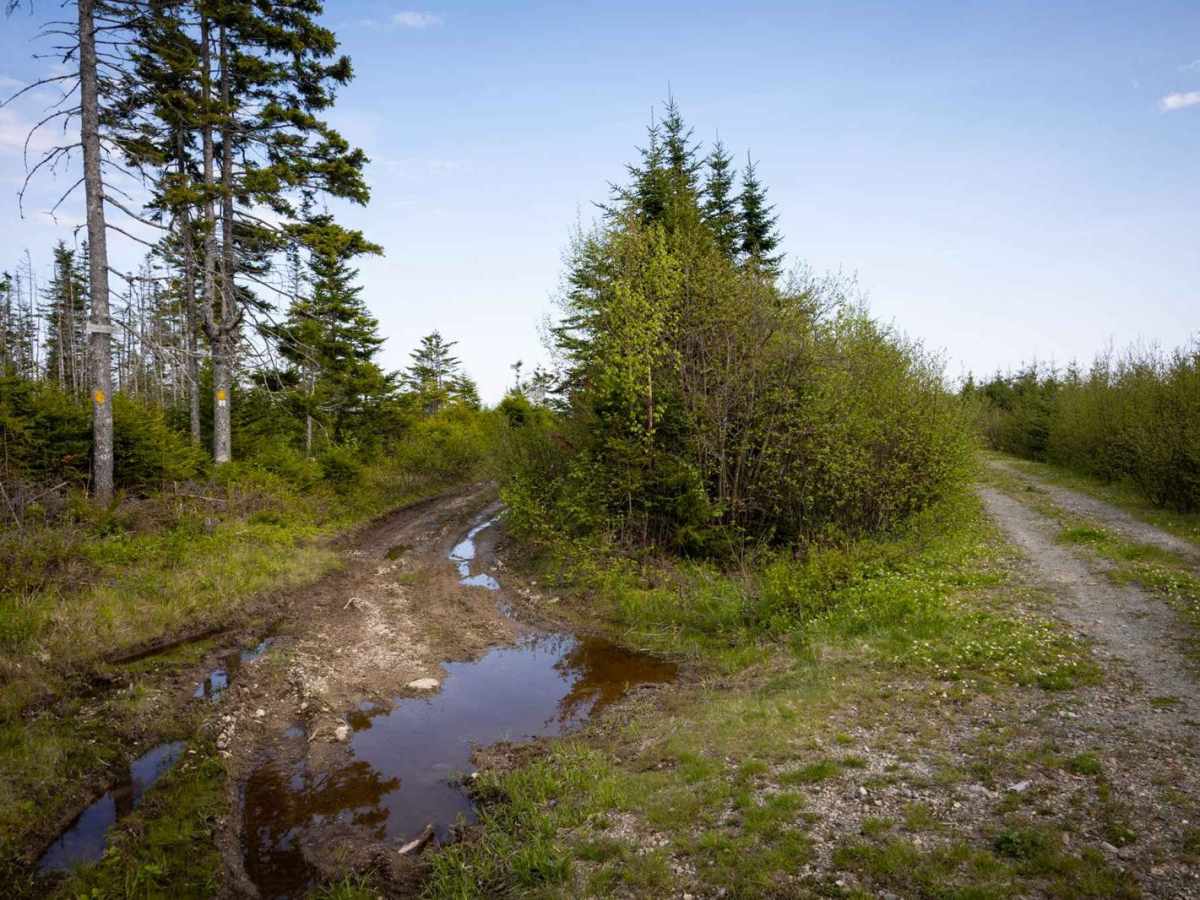 Goose Creek Footpath Access photo 6
