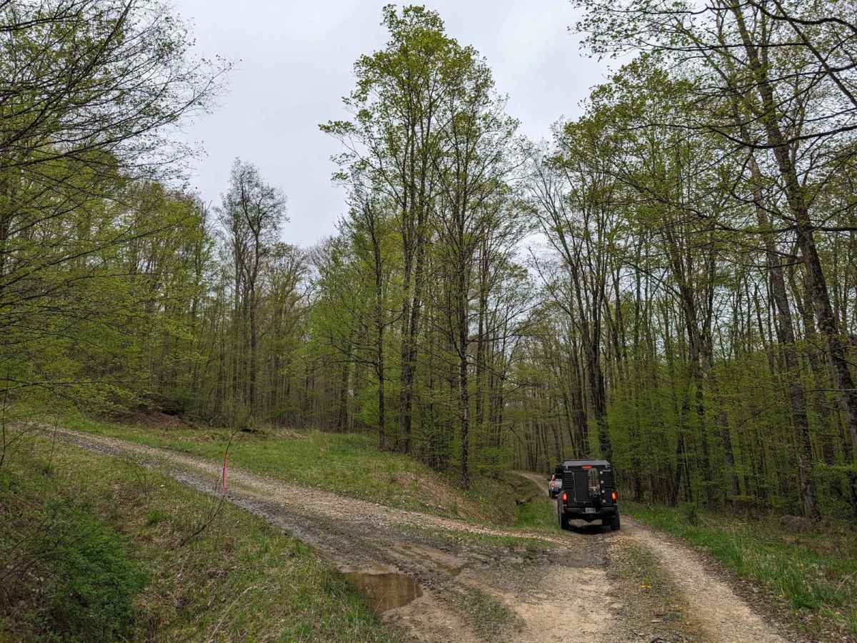 Kinmeade photo 3