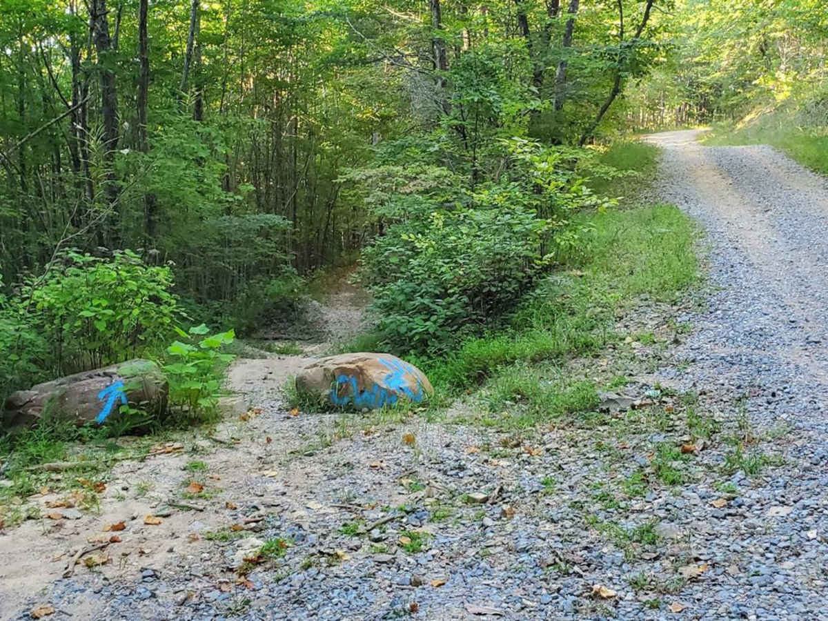 Hammond Gap - FSR 259 photo 5