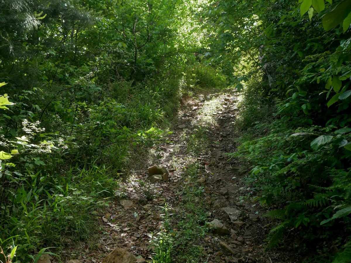 RV27 photo 6