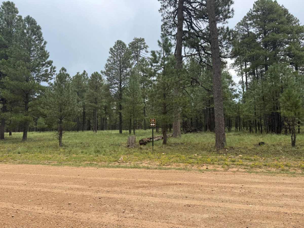 Wallace Road trail photo