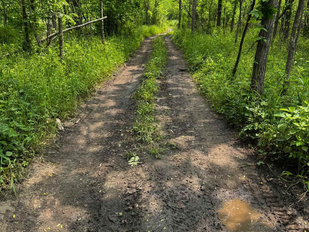 Yellow 64 trail photo