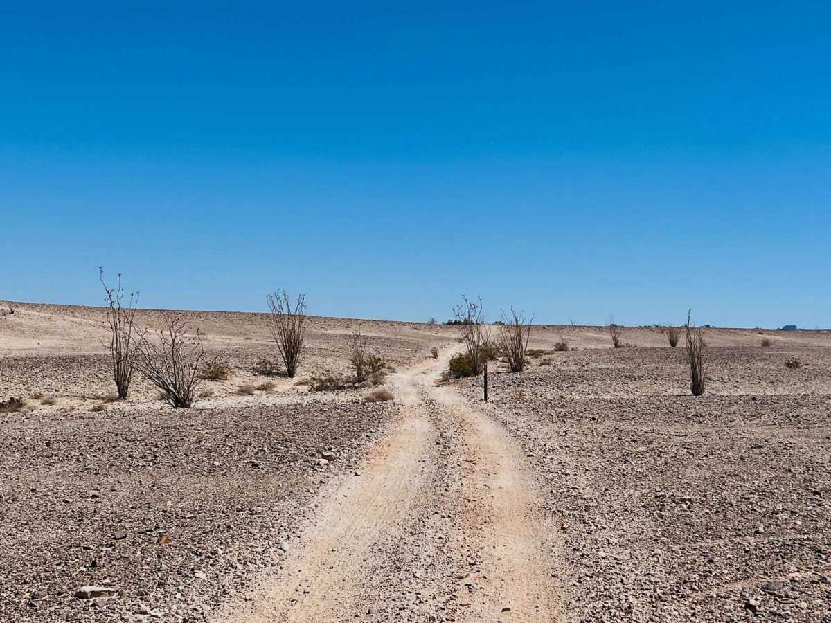 Desert Loop 660 photo 3