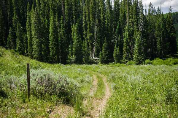 Nipple Peak ATV Trail