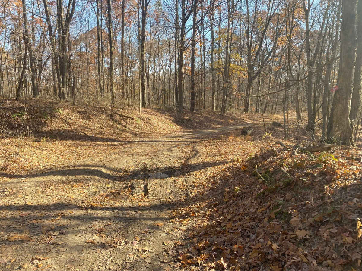 Pleasant Ridge Road - The Tar Hollow Trails photo 4
