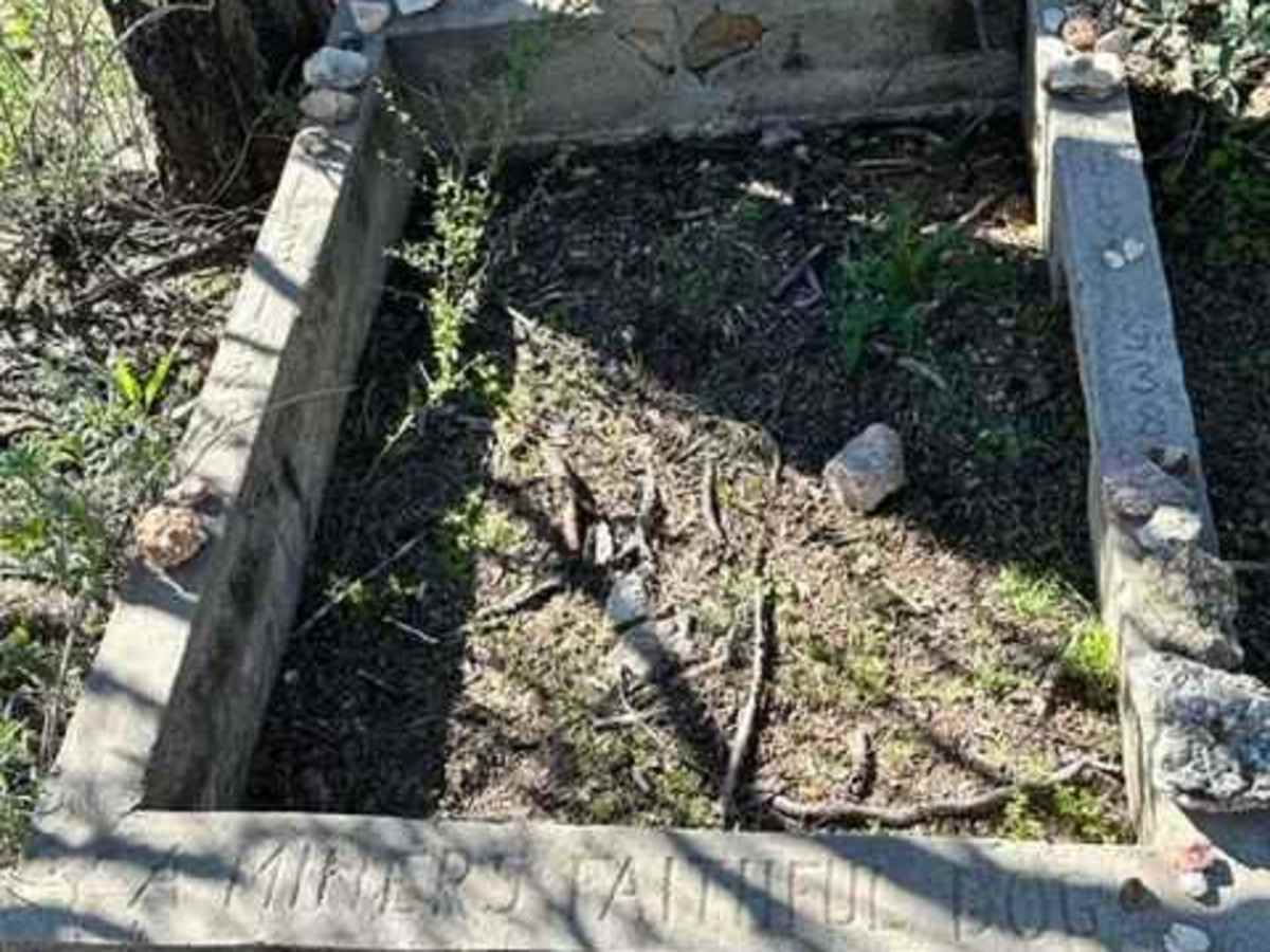 China Dam/Tule Homestead photo 6