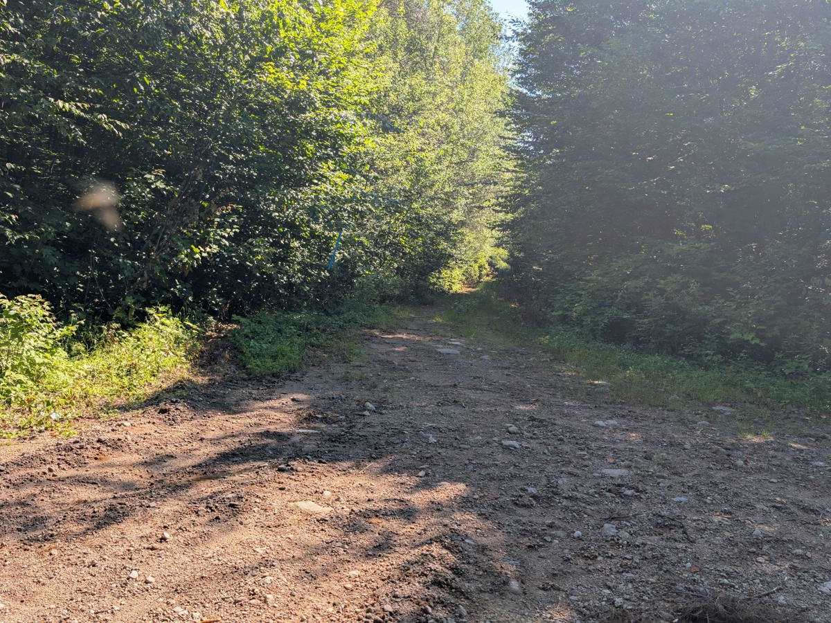 Blue Pond Road trail photo