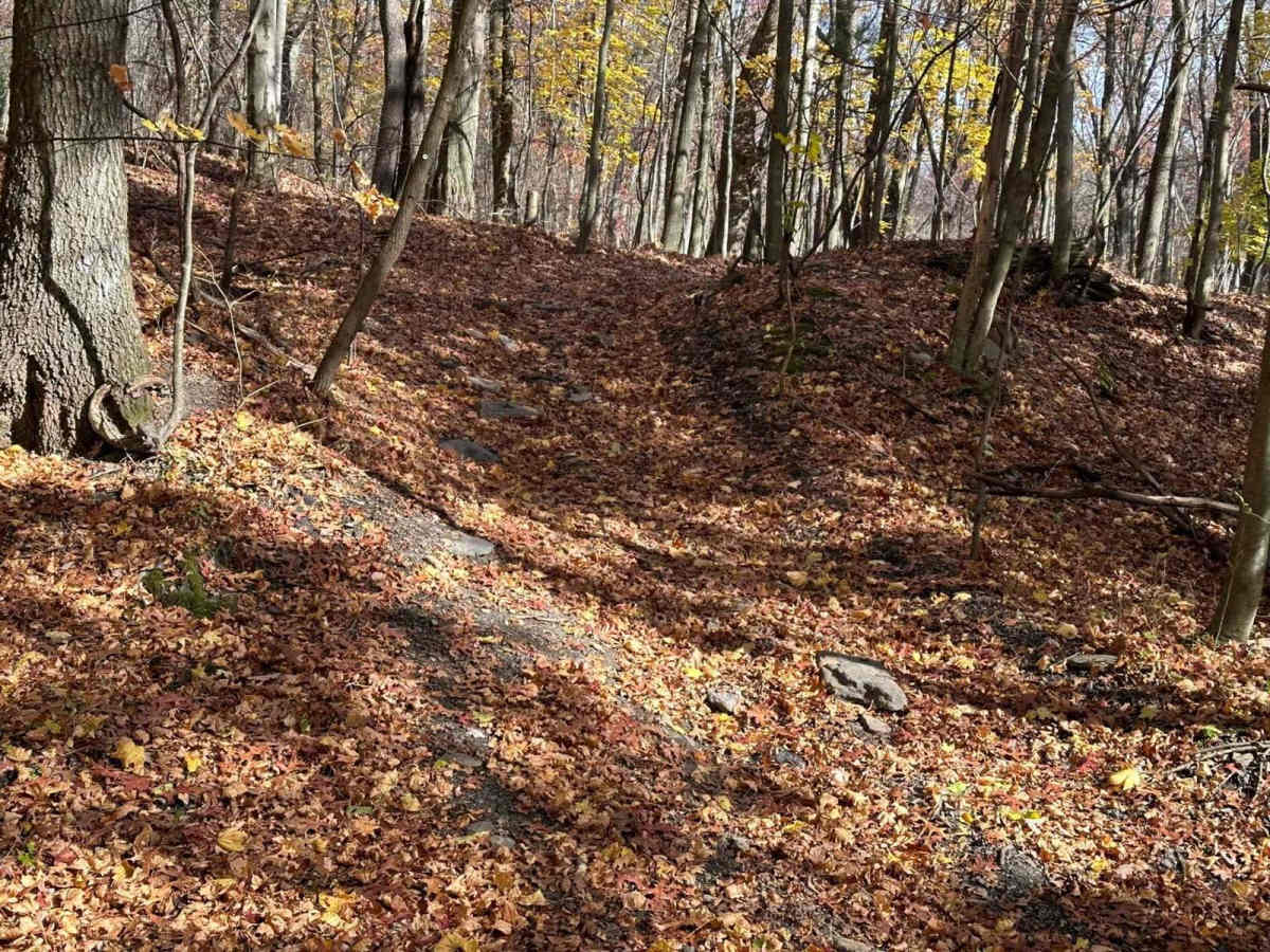 Ashland 102 photo 5