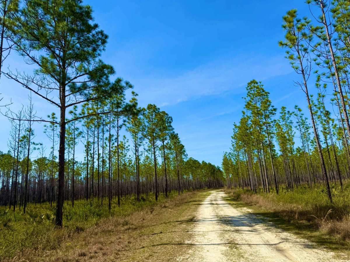 Lost Road 352 photo 6