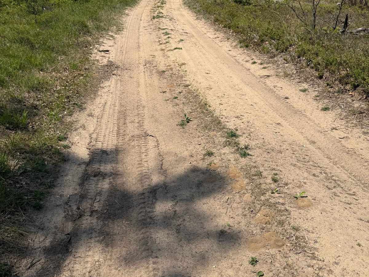 Fife Lake Trail photo 5