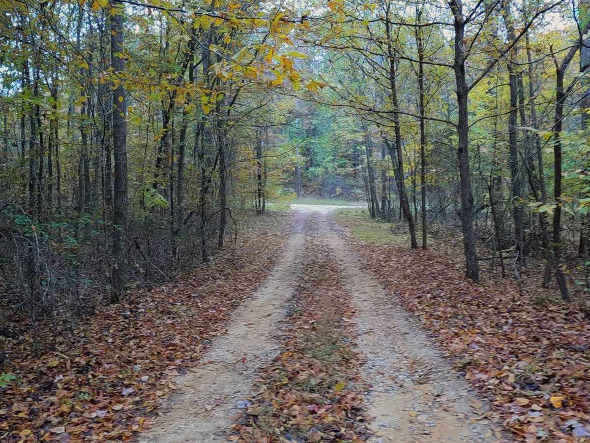 Collie Cemetery - FS 307 trail photo