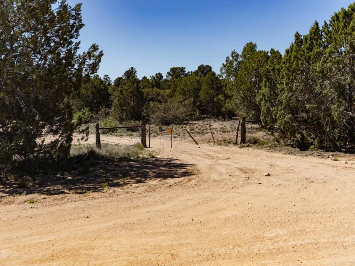 Mud Tank trail photo