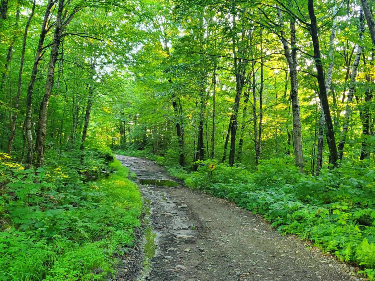 Twin Lakes trail photo