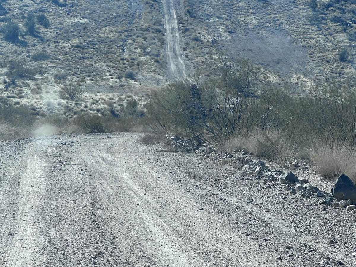 Kingman Rollercoaster photo 6