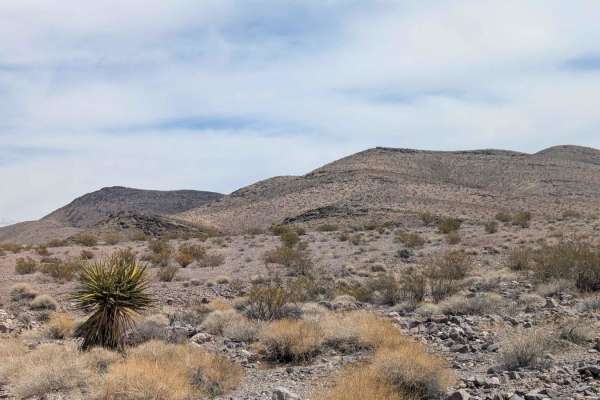 Rocky Wash