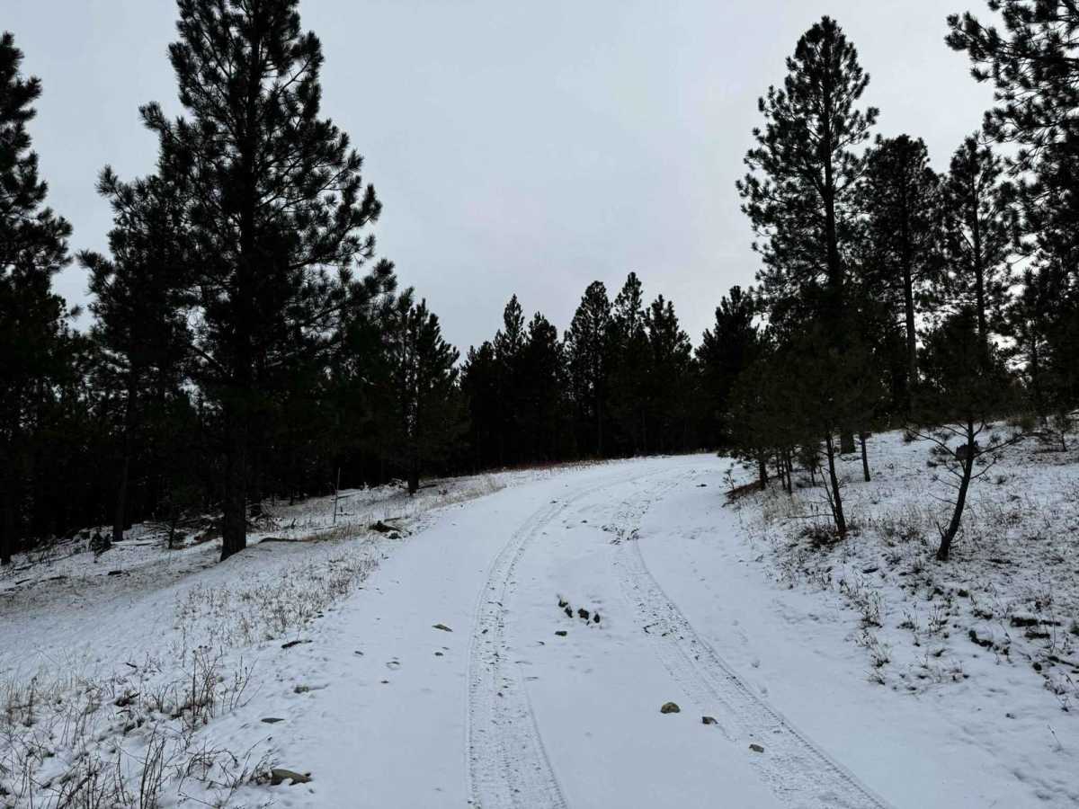 Bogus 6307 trail photo