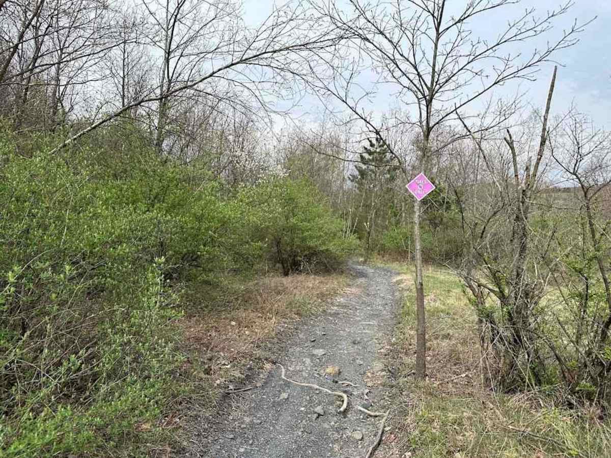 St. Keirns Single Track 6 photo 4