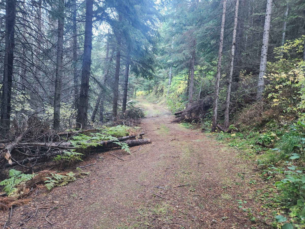 Cromie Creek trail photo